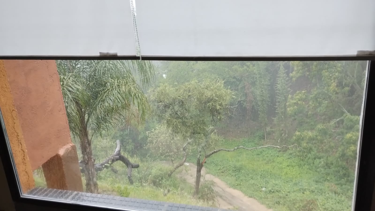 gran lote con casa de categoría y departamento a estrenar gran lote con casa de categoría y departamento a estrenar