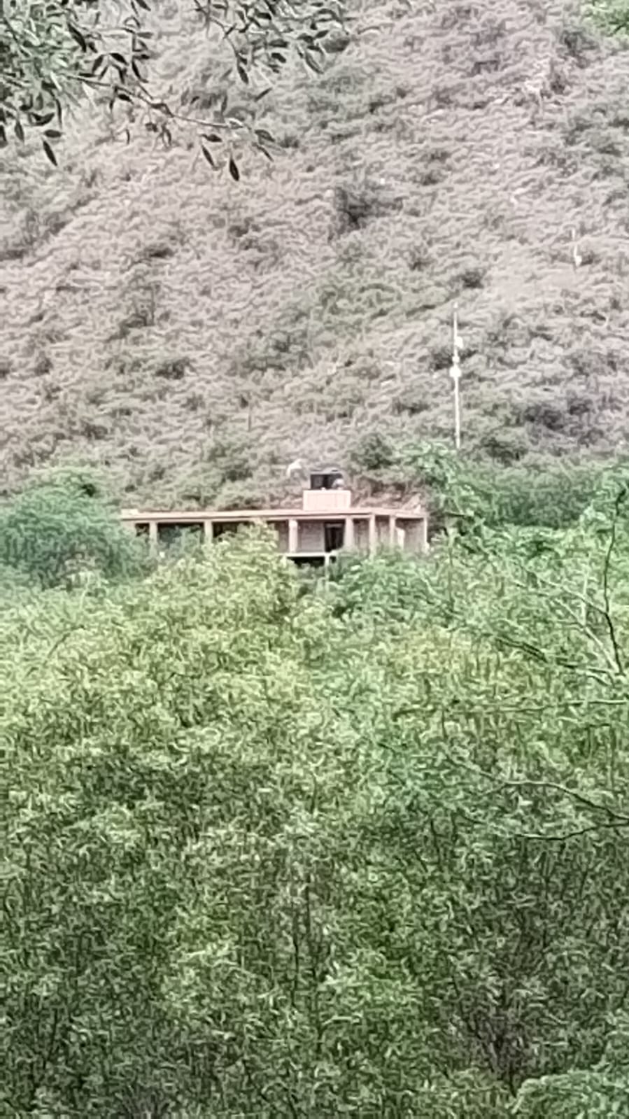 gran lote con casa de categoría y departamento a estrenar gran lote con casa de categoría y departamento a estrenar