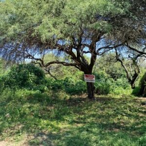 hermoso lote en venta – san roque | ideal para construir tu hogar