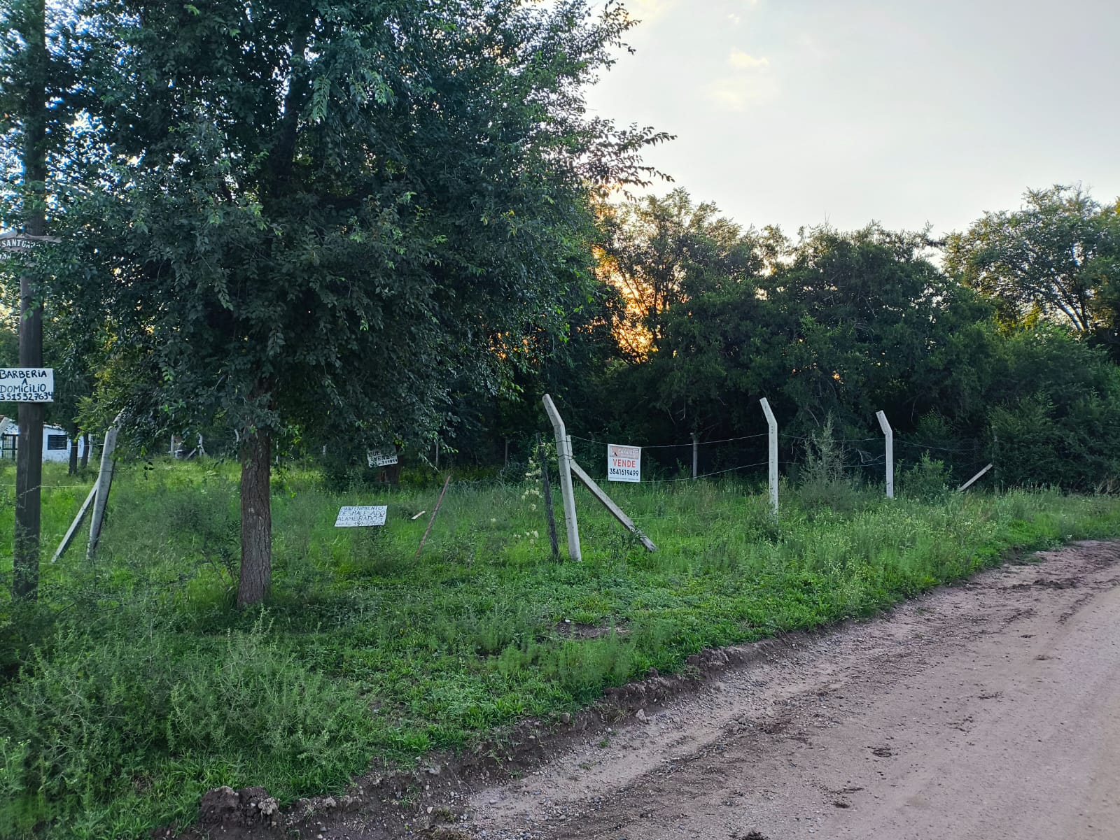 auto draft auto draft