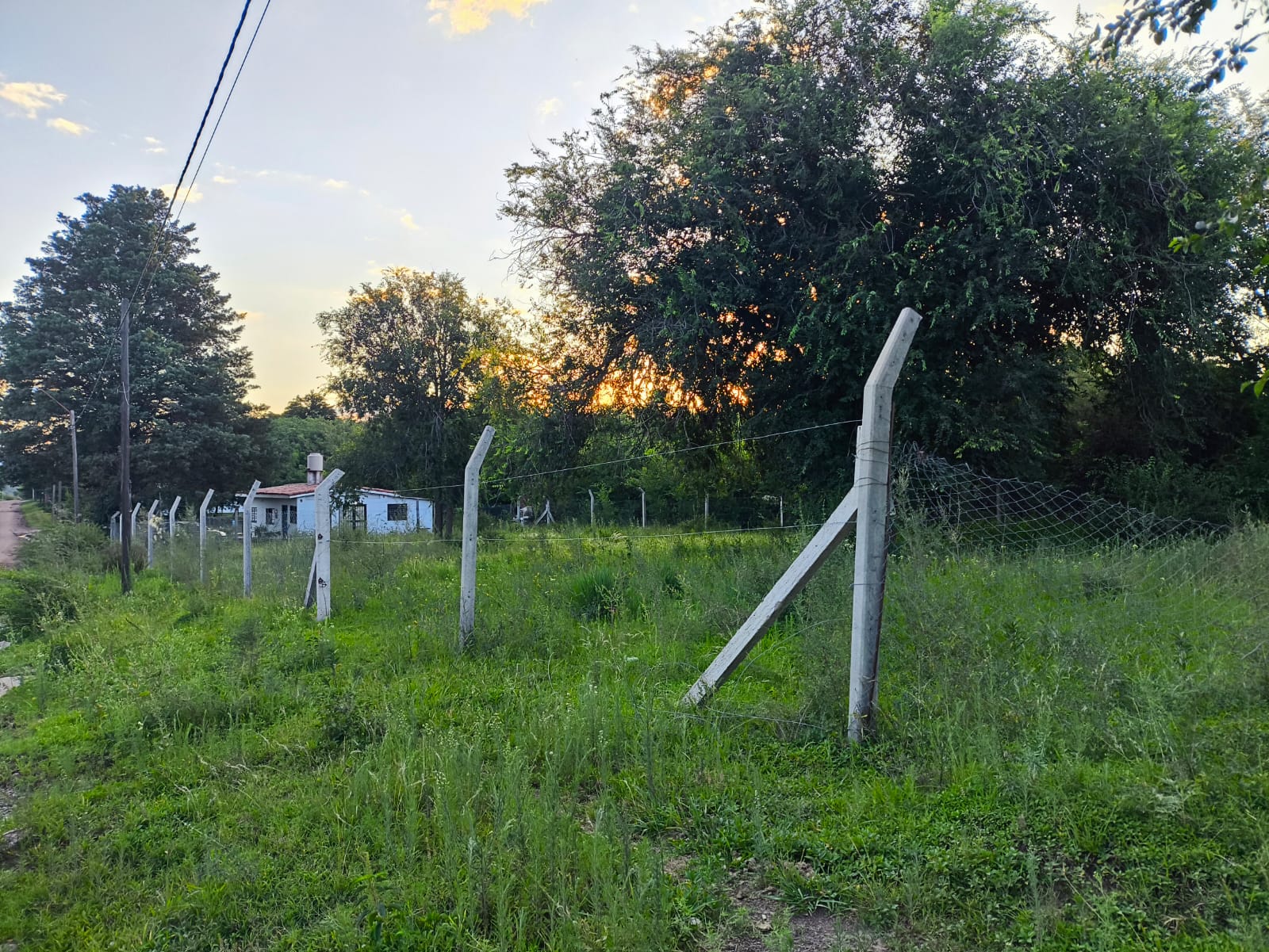 auto draft auto draft