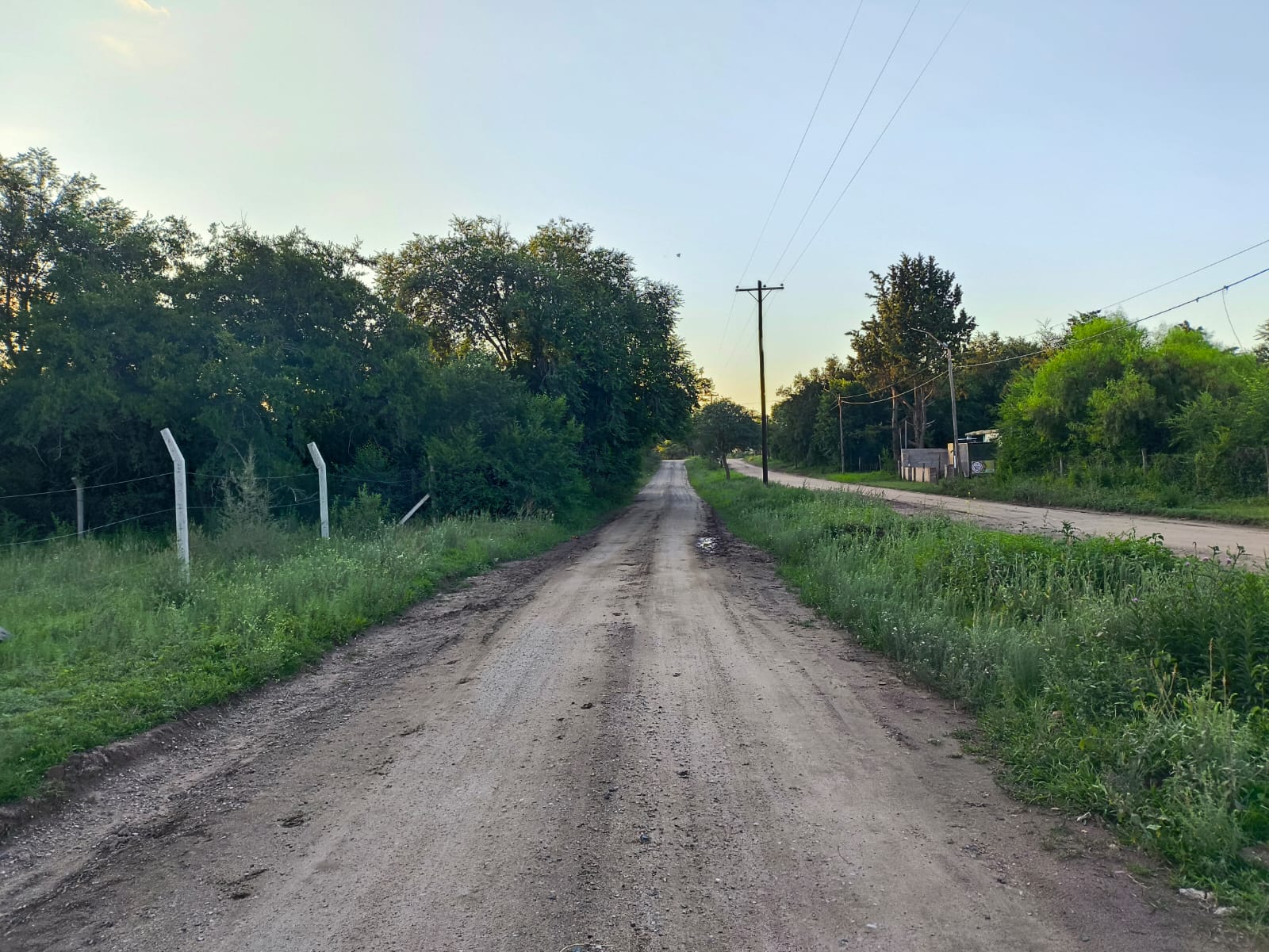 auto draft auto draft