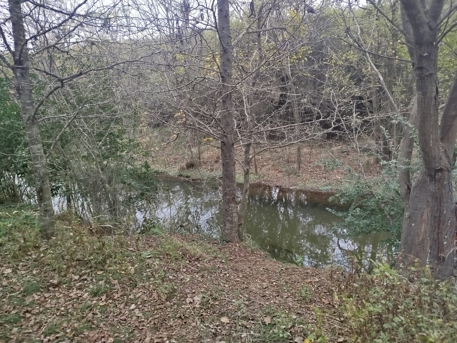 excelente propiedad en venta – villa parque siquiman | dos lotes excelente propiedad en venta – villa parque siquiman | dos lotes